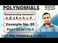 Class 10 Maths Chapter 2 Polynomial Example 5 NCERT CBSE