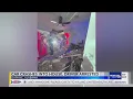 It felt like a bomb had gone off Car crashes into Daphne house homeowner has advice for driver