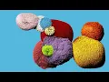 Beck - Wow