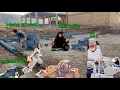 Download Lagu Ruqiya needs a Dentist 🦷 | While Heshmat Struggles to Finish the House 🏚️