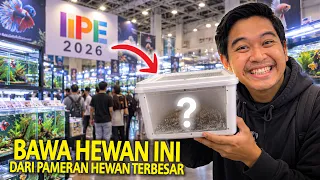 BAWA PULANG HEWAN UNIK INI DARI PAMERAN HEWAN TERBESAR SE-INDONESIA IIPE 2026! HADIAH BUAT ANAK AKU!