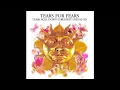 Download Lagu Tears For Fears ‎– Tears Roll Down (Greatest Hits 82-92) (Reissue With Remix Disc)