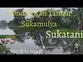 Download Lagu Eerie‼️ Sukatani's Srengseng River is Filled with Half-Inch Peralong, Water Hyacinth \u0026 Wild Water...