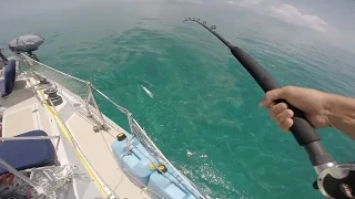 Catching Barracuda Off a Sailboat