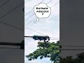 Download Lagu KATANYA MERDEKA, LIHAT DULU LAMPU MERAH 🚦 INI‼️ #trafficlight #lampumerah #lampulalulintas #apill