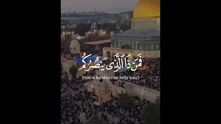 إن ينصركم الله فلا غالب لكم ايات قران 