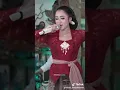 Download Lagu TAMAN JURUG NIKEN SALINDRI