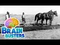 Serious Science History of Soy
