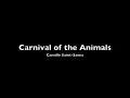 Saint Saens: Carnival of the Animals~Personnages a Longues Oreilles (Person with Long Ears)