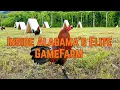 Visiting Alabama s Elite GameFarm Elite Sweater Farm
