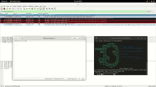 Send a simple TCP packet with a message using Scapy