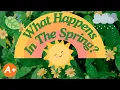 What Happens in the Spring Spring Weather Nature for Kids