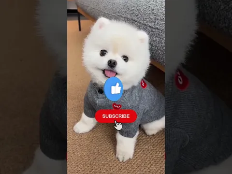 #bts