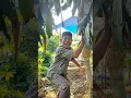 Download Lagu GARA GARA BAGI UANG