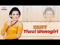 Download Lagu Erny - Tiwul Wonogiri (Official Music Video)