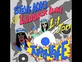 Steve Aoki & Laidback luke ft Lil jon - Turbulence (audio)