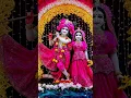 Download Lagu #shyam nache Rai nache nache 🌺🌺🌺🥰🥰🥰🥰🌿🌿🌿 #song
