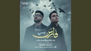 فارس بس بدون جواد دندنها