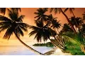 Download Lagu Beautiful Tropical Music \u0026 Caribbean Music \u0026 Hawaiian Music - Island Paradise 🌴