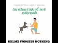 Words You Can Tell To Your Dog in Lak ota