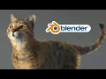 How to Make Cat in Blender