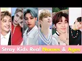 Stray Kids members Real Names and Ages 2022