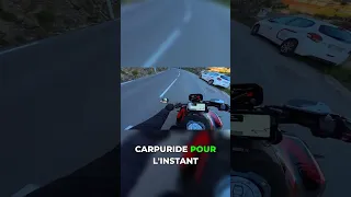 Miniature : Carpuride vs Chigee : mon verdict inattendu après l'essai !