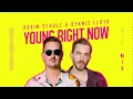 Download Lagu Robin Schulz \u0026 Dennis Lloyd – Young Right Now (VIP MIX) [Official Visualizer]