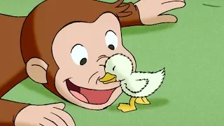 Curious George A Monkey S Duckling Kids Cartoon Kids Movies Videos For Kids 