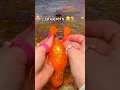 Unboxing the WEIRDEST ITEMS from AMAZON rare 1 fidgets