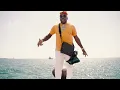 Elephant Man - Walk Out (Official Video)