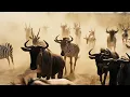 Avicii, Major League DJz & Elle King - Let's Ride Away (Major League VIP Club Room) [Official Audio]