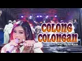 Download Lagu COLONG COLONGAN VOC DEDE RISTY | LIVE MUSIC GANJENE PANTURA