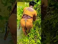 Lagu Amazing Village Women Net Fishing #Shorts
