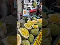 Download Lagu Malaysian National Fruits #durian #malaysiantourism #malaysia #fruits