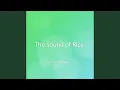 Download Lagu Suara Nasi