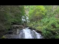 Anna Ruby Falls fromVIC  Online TV Channel