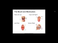 Mastering Medical Terminology Chapter 5 Digestive System