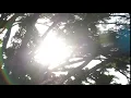 sun shine - sun shines background