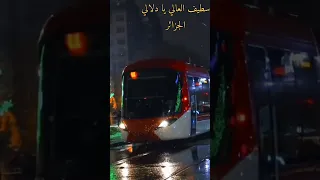 سطيف الجميلة الجزائر بلادنا شابة  سطيف الجميلة الجزائر بلادنا شابة