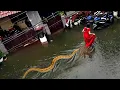 105 Luckiest People Ever Caught on Camera
