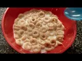 Stage 2 baby food Cheerios