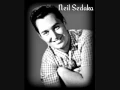 Lagu You Mean Everything To Me ~ Neil Sedaka  (1960)