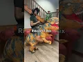 Ride-on Inflatable Halloween Costumes