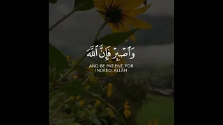 قرآن حالات واتس آب آيات قرآنية قصيرة القرآن الكريم الصبر 
