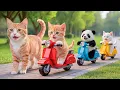 Download Lagu Mama Cat and Kitten Sell Fried Chicken to Buy a New Bike for Kitten 🍗🚲🐱 MP3