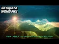 黎展峰 - 我需要哭 +4 (CkyBeatz MTG Disco Remix 26')汪少Style