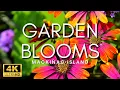 Download Lagu THE MOST BEAUTIFUL GARDENS IN THE WORLD! - Stunning Flower Gardens \u0026 Peaceful Music Mackinac Island