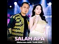 Salah Apa - Difarina Indra Adella & Fendik Adella