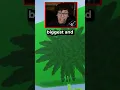 Download Lagu The NEW MOST EXPENSIVE SUNFLOWER in GROW A GARDEN!
